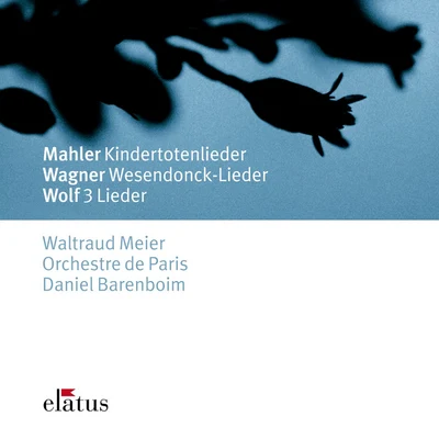 Mahler, Wagner & Wolf : Orchestral Songs-Elatus 专辑 Orchestre de Paris/Javier Perianes/Josep Pons