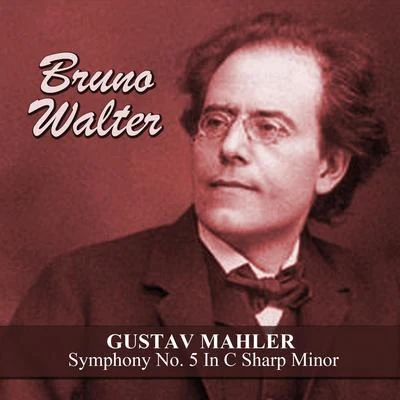 Gustav Mahler: Symphony No. 5 In C Sharp Minor 專輯 Gintaras Rinkevicius/Lithuanian State Symphony Orchestra/Gustav Mahler