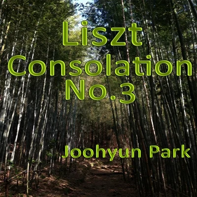 Liszt: Consolation No.3 in D-Flat Major, S. 172 專輯 Joohyun Park