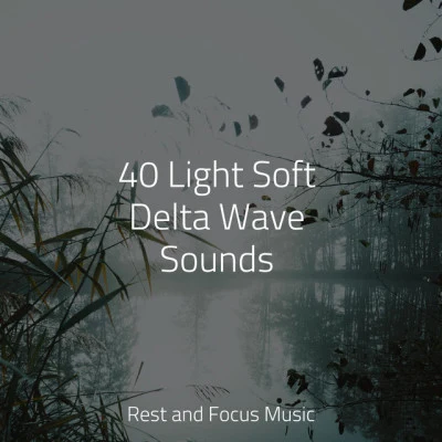 40 Light Soft Delta Wave Sounds 專輯 Baby Sleep Lullaby Academy