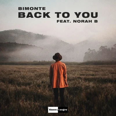 Back to You 專輯 Allenx/Norah B./Quintino & Blasterjaxx/Skelectro