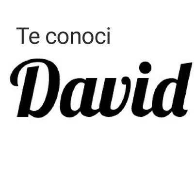 Te conocí 專輯 David