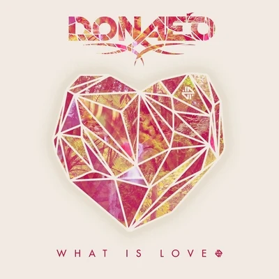 What Is Love (Radio Edit) 专辑 Mike Delinquent Project/Kcat/Donae'o