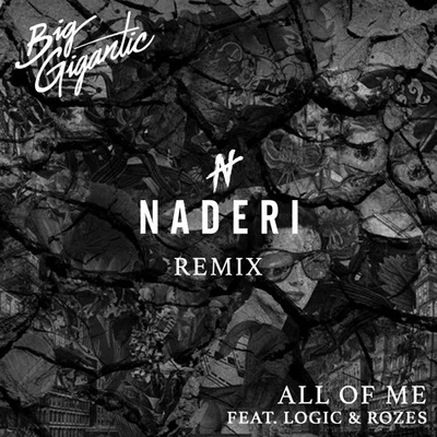 NaderiPauline Herr All Of Me (Naderi Remix)