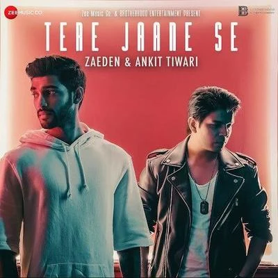 Tere Jaane Se 專輯 Zaeden/Borgeous/AK9/MIDIcal