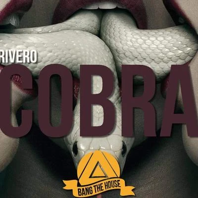 Cobra 專輯 Rivero/Dennis Ferrer/Sanchez/Salgado/Studio Apartment