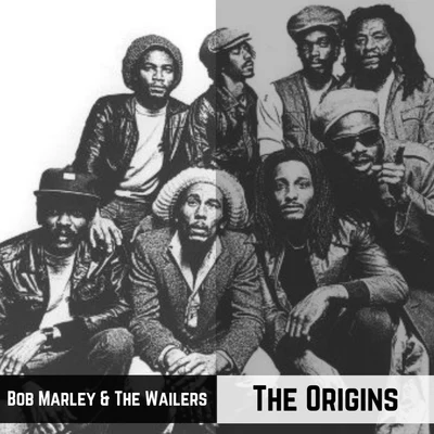 The Origins 專輯 Bob Marley/Munay/Shakira/Alejandro Sanz/Alpha Blondy