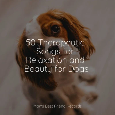 50 Therapeutic Songs for Relaxation and Beauty for Dogs 專輯 Calm Doggy/Music for Calming Dogs/Jazz Music Therapy for Dogs