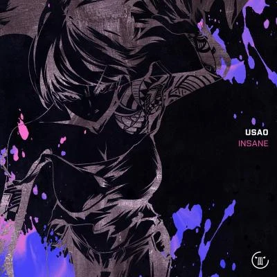 INSANE 專輯 USAO/Tanukichi/GRAViiTY