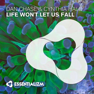 Life Won&#x27;t Let Us Fall 专辑 Dan Chase