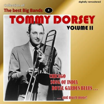 Collection of the Best Big Bands - Tommy Dorsey, Vol. 2 (Remastered) 專輯 Red Nichols/Tommy Dorsey/Jimmy Dorsey/Eddie Lang/Paul Whiteman