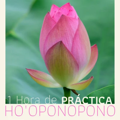 1 Hora de Práctica Hooponopono - Meditación del Perdón y Sanación 專輯 Meditación Maestro/Naturaleza/Ioga