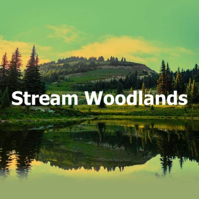 Stream Woodlands 專輯 Total Relax Zone/Echoes Of Nature