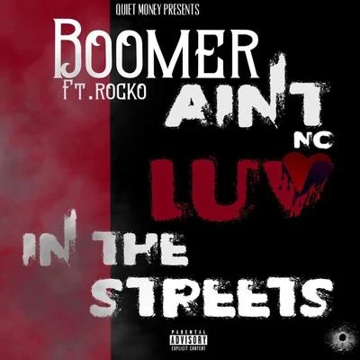 Aint No Luv in the Streetz (feat. Rocko) 專輯 Rocko