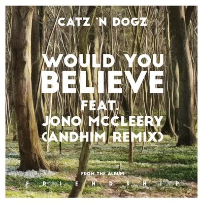 ZENSOFLYMaxvilleCatz N Dogz Would You Believe feat. Jono McCleery (andhim Remix)