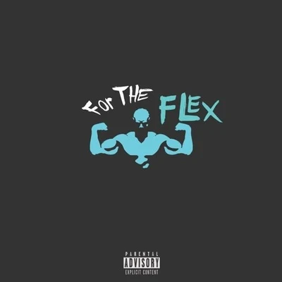 for the flex 专辑 Gray