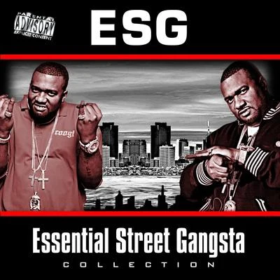 The Essential Street Gangsta Collection 專輯 E.S.G./Slim Thug