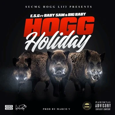 Hogg Holiday (feat. Baby Sam & Big Baby) 專輯 E.S.G.