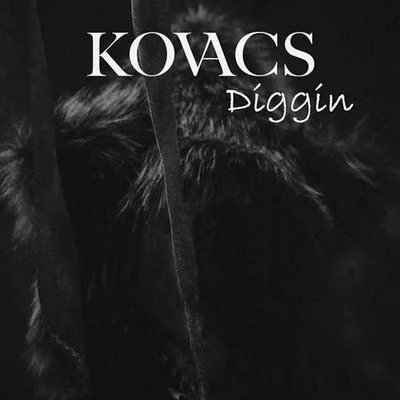 Kovacs Diggin