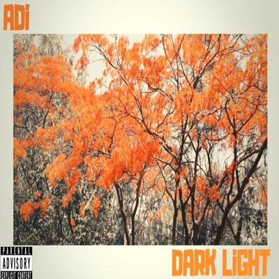 DarkLiGHT 专辑 Adi/Coriesu