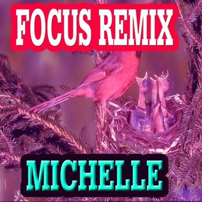 Focus Remix 專輯 Michelle/The Districts/Donna Missal/Charlie Hickey/Remo Drive