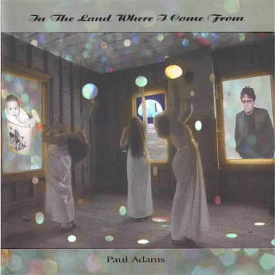 In the Land Where I Come From 專輯 David Hoffman/Elizabeth Geyer/Paul Adams/Pravin Godkhindi