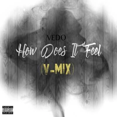 How Does It Feel (V-Mix) 專輯 Vedo