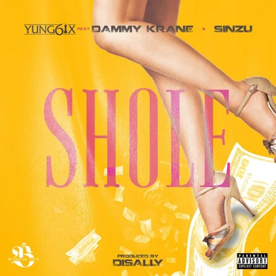 Shole (feat. Dammy Krane & Sinzu) 專輯 DJ Timmy/Yung6ix