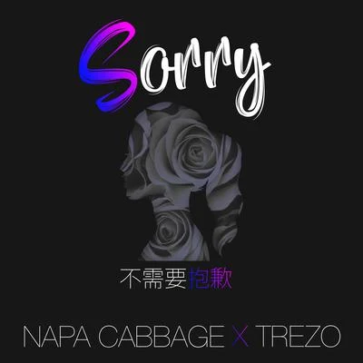 Napa CabbageQuintino & Blasterjaxx 不需要抱歉 (Sorry)