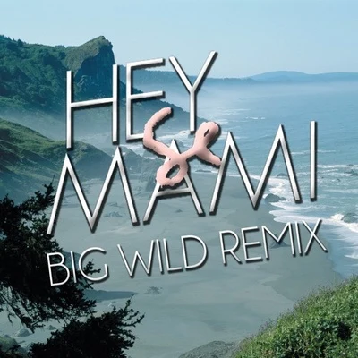 Hey Mami (Big Wild Remix) 專輯 Big Wild