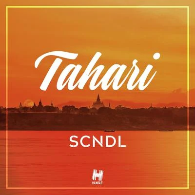 Tahari 專輯 SCNDL/Tonite Only