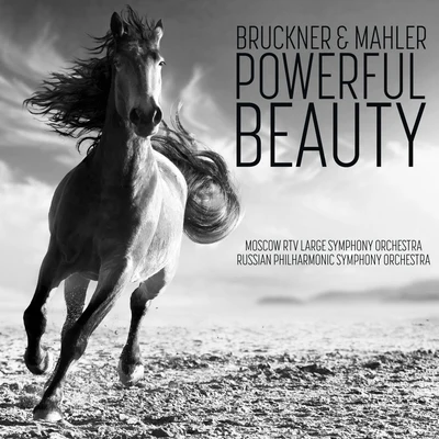 Bruckner and Mahler: Powerful Beauty 專輯 Russian Philharmonic Symphony Orchestra