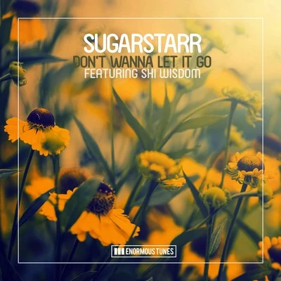 Dont Wanna Let It Go 专辑 Sugarstarr/Who Knows