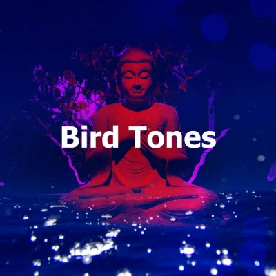 Bird Tones 專輯 Asian Zen: Spa Music Meditation/Sleep Tight/Rain Sounds