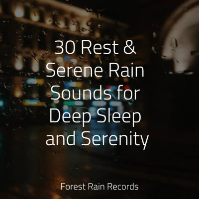 30 Rest Serene Rain Sounds for Deep Sleep and Serenity 專輯 Sounds Of Nature/Calming Music Ensemble/Soothing Sounds