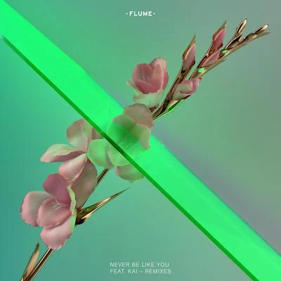 Never Be Like You (Remixes) [ft. Kai] 专辑 Flume