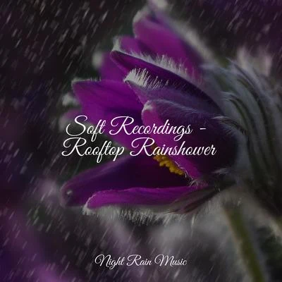 Soft Recordings - Rooftop Rainshower 專輯 Nature Chillout/Natural Sounds/Rain Drops for Sleep