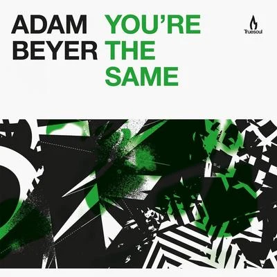 Adam Beyer Youre the Same