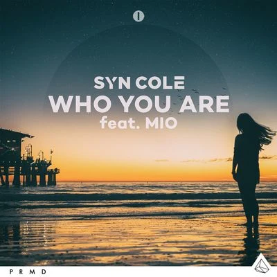 Who You Are 專輯 Syn Cole/Tensnake/Roxanne Emery/Lost Frequencies/Tiggi Hawke