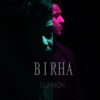 Birha 專輯 Gurshabad/Gurmoh/Satta Vairowalia