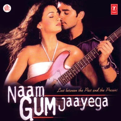 Anand-MilindKavita Krishnamurthy Naam Gum Jaayega