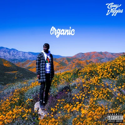 Organic 专辑 LNDN DRGS/Casey Veggies/Jay Worthy/Sean House