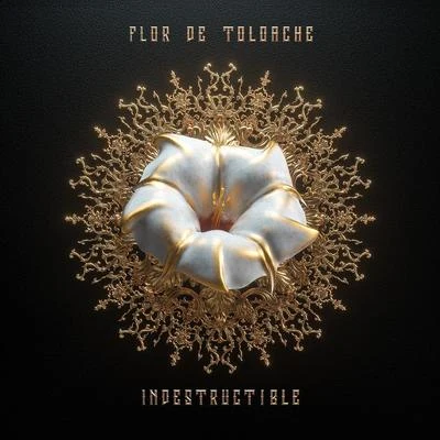 Indestructible 專輯 Flor de Toloache/Sabino