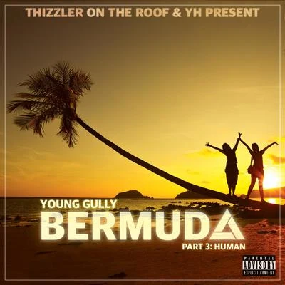 Bermuda, Pt. 3: Human 专辑 Young Gully