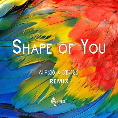 Shape of You(Alex x & Cooper.G Remix) 专辑 郑虹/吴赫伦Alex x