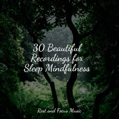 30 Beautiful Recordings for Sleep Mindfulness 專輯 Easy Sleep Music/Rising Higher Meditation/Bedtime Baby