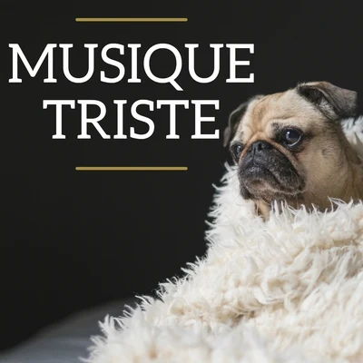 Musique Triste 專輯 可兒 (Kani)/Franz Liszt