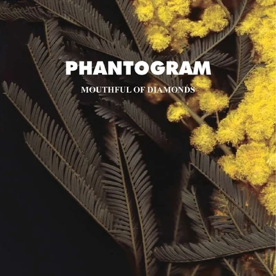 Mouthful Of Diamonds 專輯 Phantogram