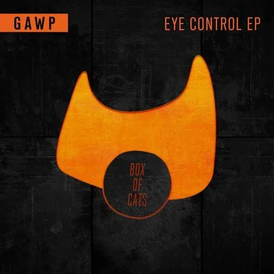 GAWPDJ Rae Eye Control