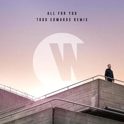 All For You (Todd Edwards Remix) 專輯 Karen Harding/Digital Farm Animals/GotSome